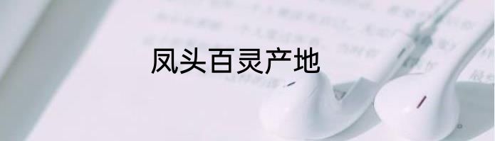 凤头百灵产地