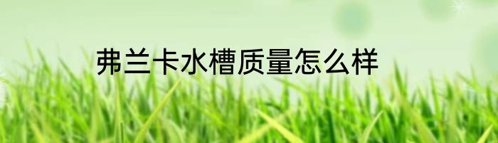 弗兰卡水槽质量怎么样