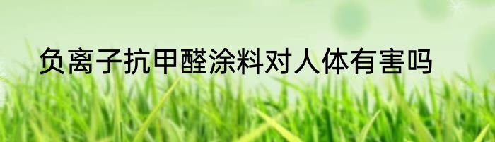 负离子抗甲醛涂料对人体有害吗