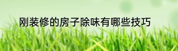 刚装修的房子除味有哪些技巧