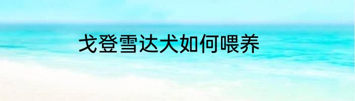 戈登雪达犬如何喂养
