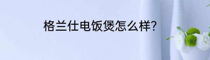 格兰仕电饭煲怎么样？
