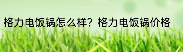 格力电饭锅怎么样？格力电饭锅价格
