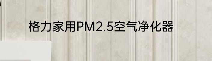 格力家用PM2.5空气净化器