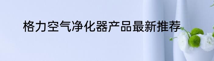 格力空气净化器产品最新推荐