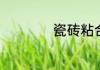 瓷砖粘合剂如何选购