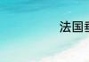 法国垂耳兔价格