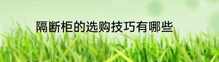 隔断柜的选购技巧有哪些