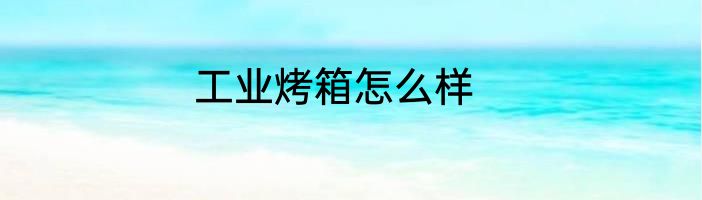 工业烤箱怎么样