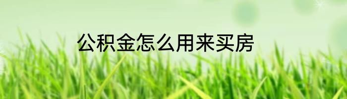 公积金怎么用来买房