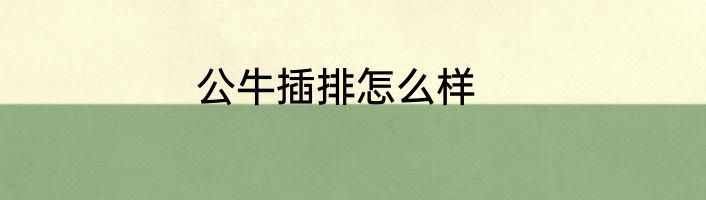 公牛插排怎么样