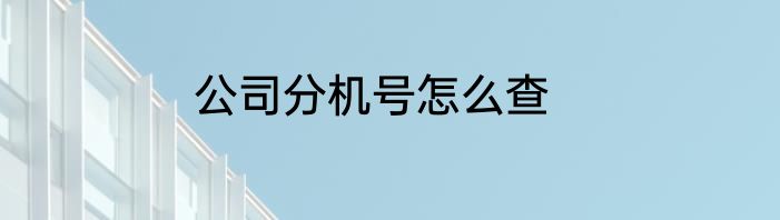 公司分机号怎么查