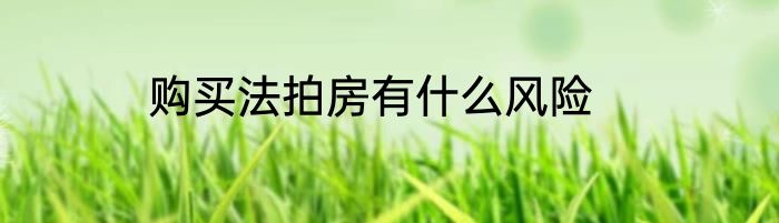 购买法拍房有什么风险