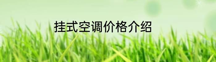挂式空调价格介绍