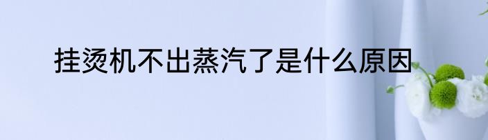 挂烫机不出蒸汽了是什么原因