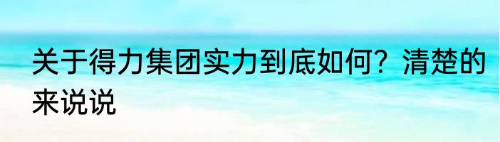 关于得力集团实力到底如何？清楚的来说说