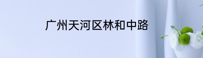 广州天河区林和中路