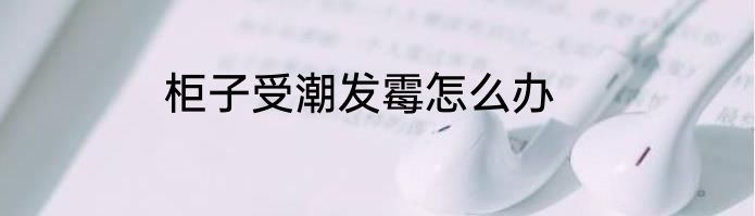 柜子受潮发霉怎么办