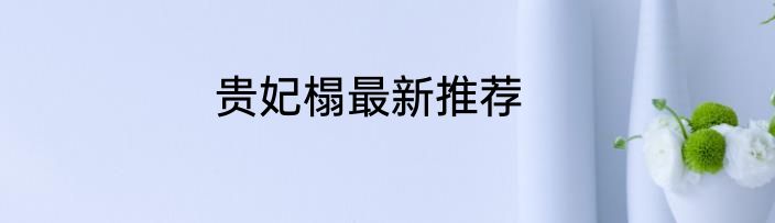 贵妃榻最新推荐