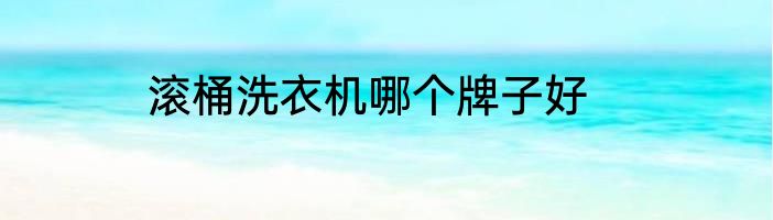 滚桶洗衣机哪个牌子好