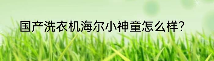 国产洗衣机海尔小神童怎么样？
