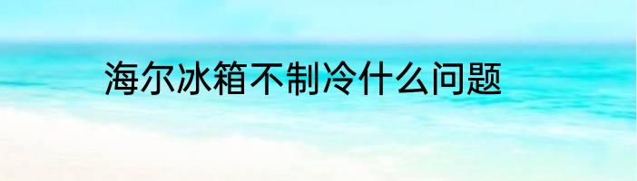 海尔冰箱不制冷什么问题