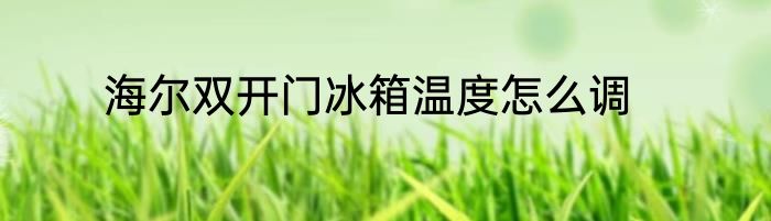 海尔双开门冰箱温度怎么调