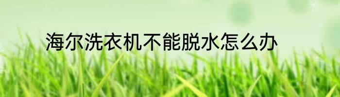 海尔洗衣机不能脱水怎么办
