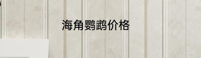 海角鹦鹉价格