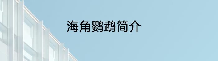 海角鹦鹉简介