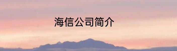 海信公司简介