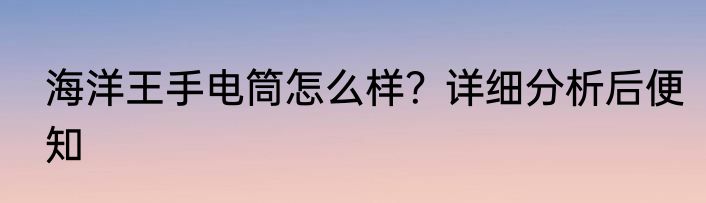 海洋王手电筒怎么样？详细分析后便知