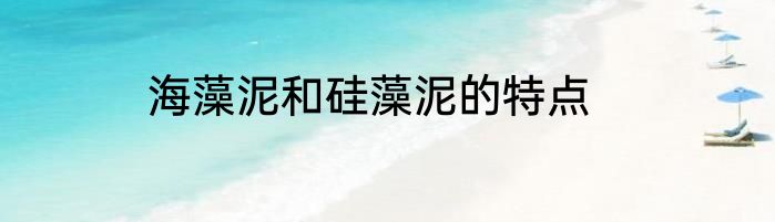 海藻泥和硅藻泥的特点