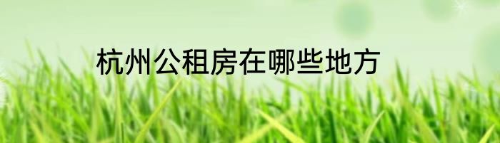 杭州公租房在哪些地方