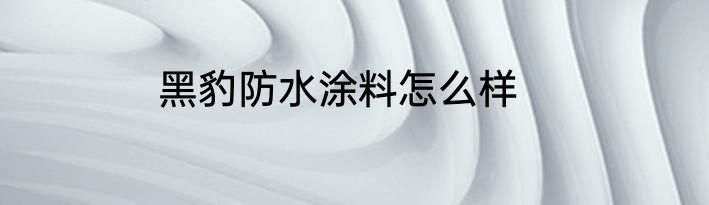黑豹防水涂料怎么样