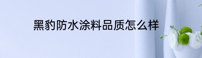 黑豹防水涂料品质怎么样