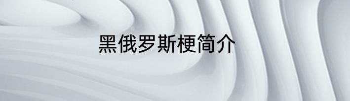 黑俄罗斯梗简介