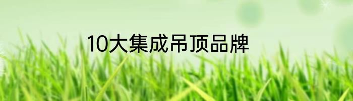 10大集成吊顶品牌