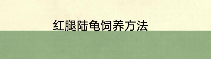 红腿陆龟饲养方法