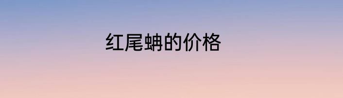 红尾蚺的价格