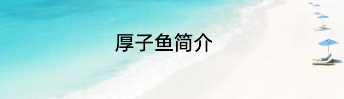 厚子鱼简介