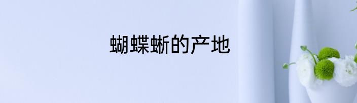 蝴蝶蜥的产地
