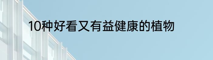 10种好看又有益健康的植物