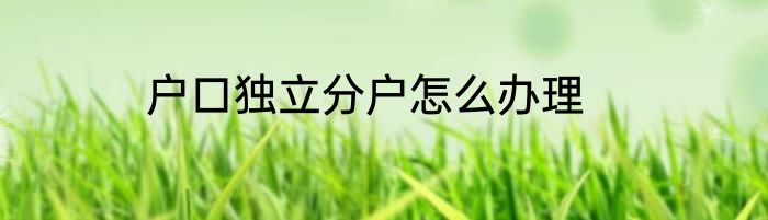 户口独立分户怎么办理