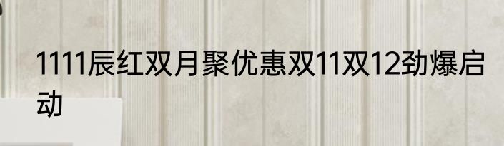 1111辰红双月聚优惠双11双12劲爆启动