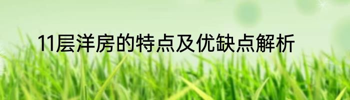 11层洋房的特点及优缺点解析