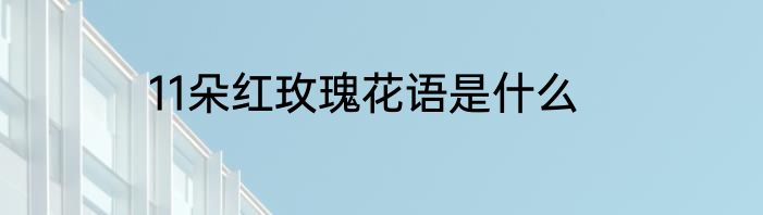 11朵红玫瑰花语是什么