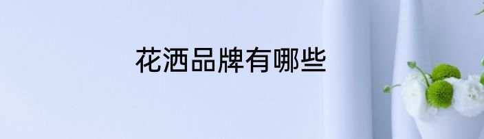 花洒品牌有哪些