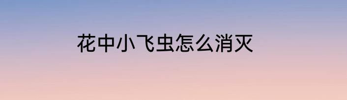 花中小飞虫怎么消灭