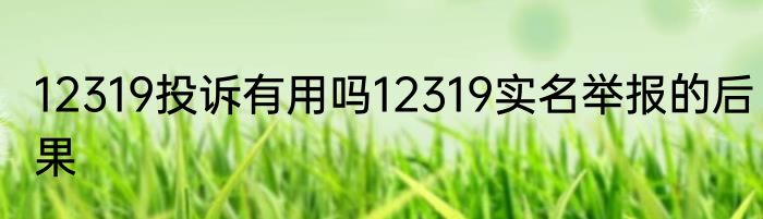 12319投诉有用吗12319实名举报的后果